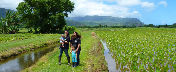 Kauai Grown Farmers & Ranchers